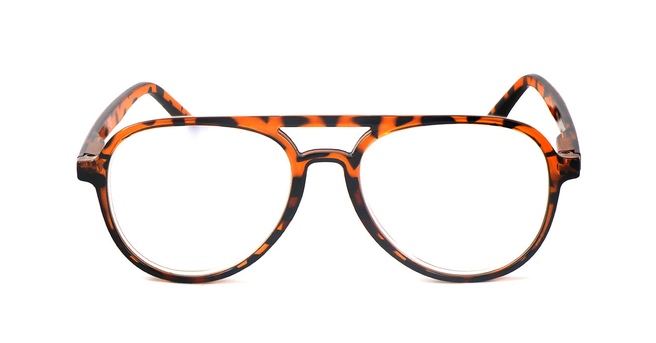 Classic Style Funky Reading Glasses Mens Womans with Metal Hinges DX100