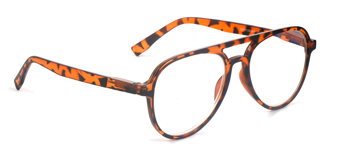 Classic Style Funky Reading Glasses Mens Womans with Metal Hinges DX100