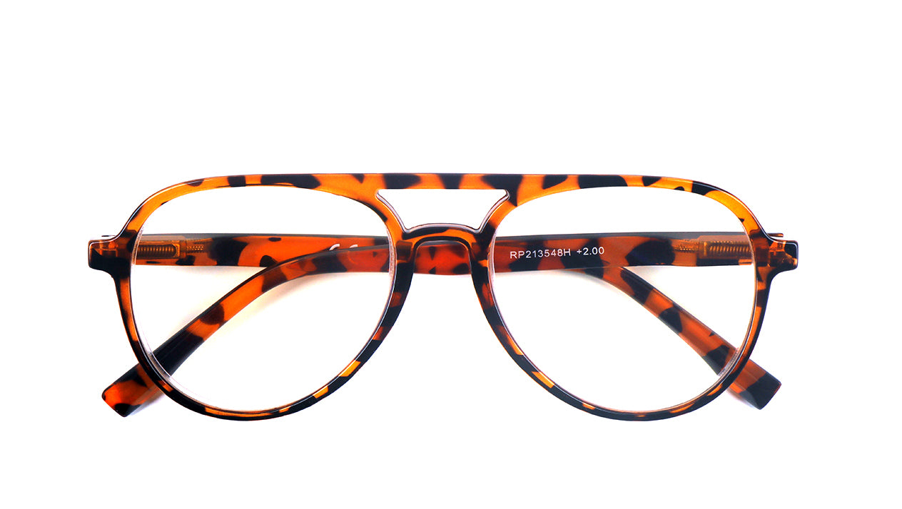 Classic Style Funky Reading Glasses Mens Womans with Metal Hinges DX100