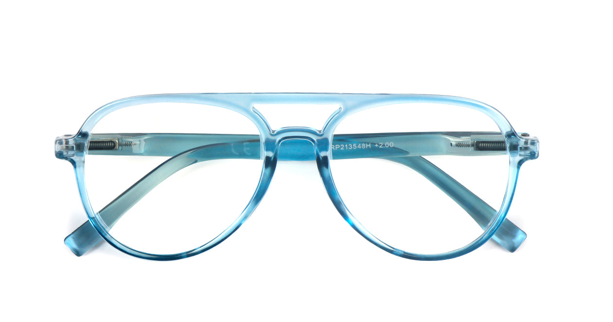 Classic Style Funky Reading Glasses Mens Womans with Metal Hinges DX100
