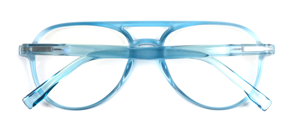 Classic Style Funky Reading Glasses Mens Womans with Metal Hinges DX100