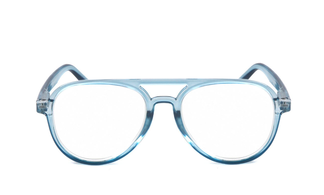 Classic Style Funky Reading Glasses Mens Womans with Metal Hinges DX100