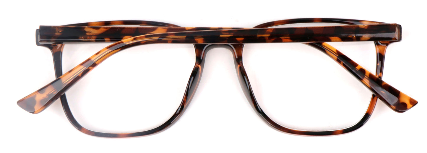 Stylish Retro Unisex Reading Glasses with Stainless Steel Rod Temples & Stainless Steel Spring Hinges DX89