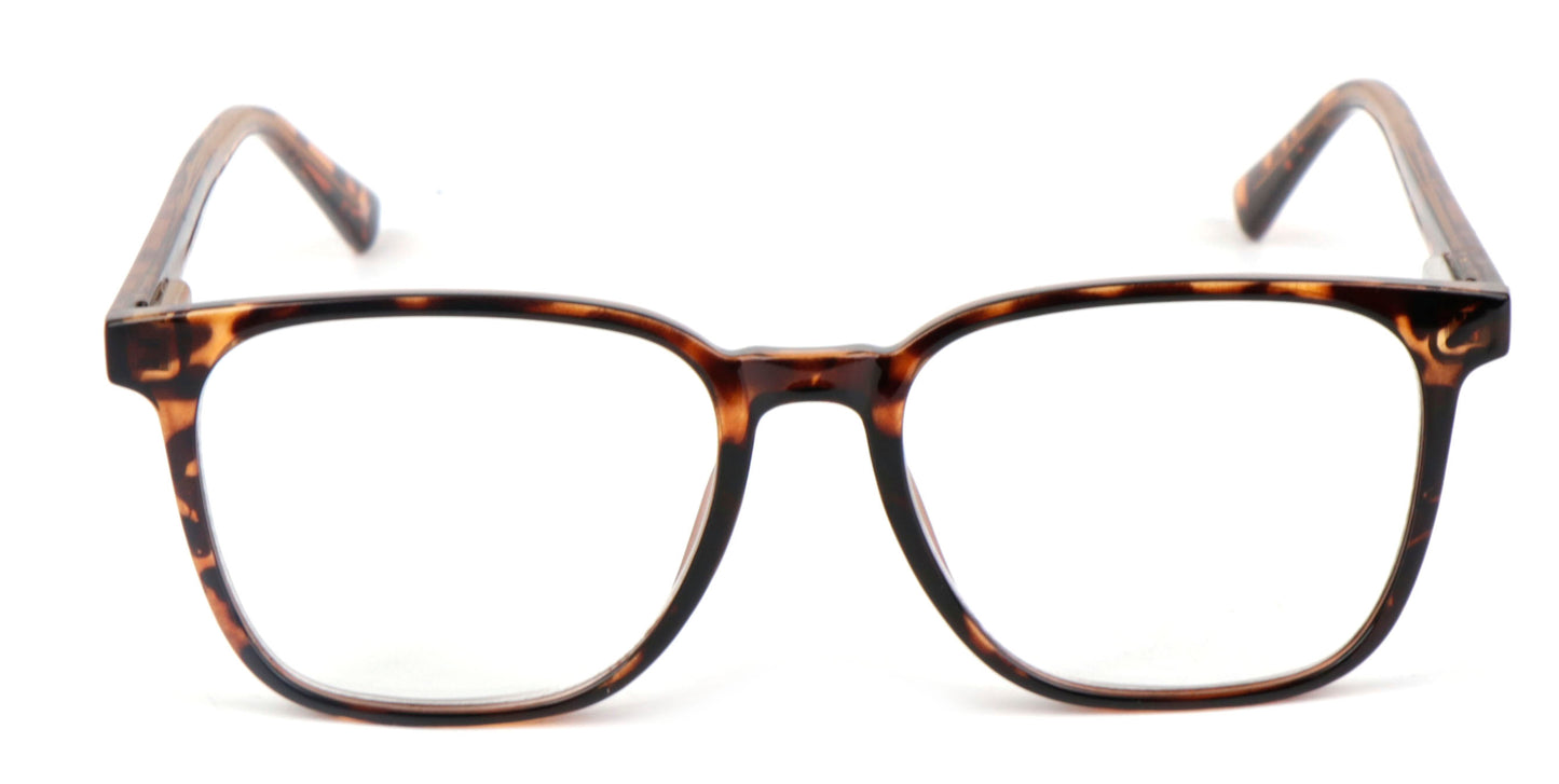 Stylish Retro Unisex Reading Glasses with Stainless Steel Rod Temples & Stainless Steel Spring Hinges DX89
