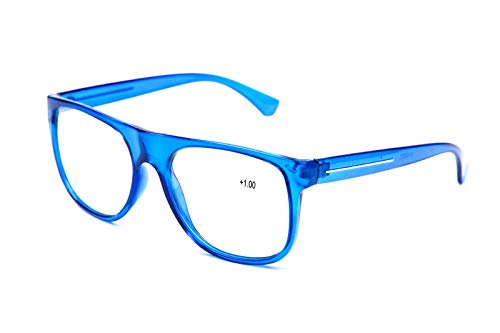 Retro Big Frame Reading Glasses with Metal Hinges - Model TN09