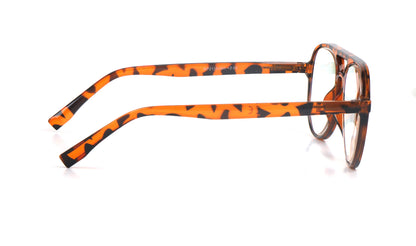 Classic Style Funky Reading Glasses Mens Womans with Metal Hinges DX100