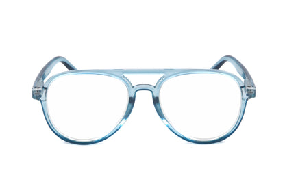 Classic Style Funky Reading Glasses Mens Womans with Metal Hinges DX100
