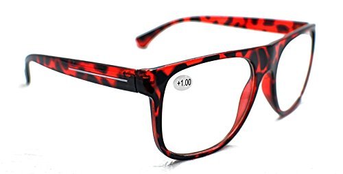 Retro Big Frame Reading Glasses with Metal Hinges - Model TN09