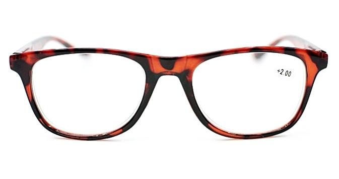 Unisex Spring Hinged Reading Glasses - Model 9057